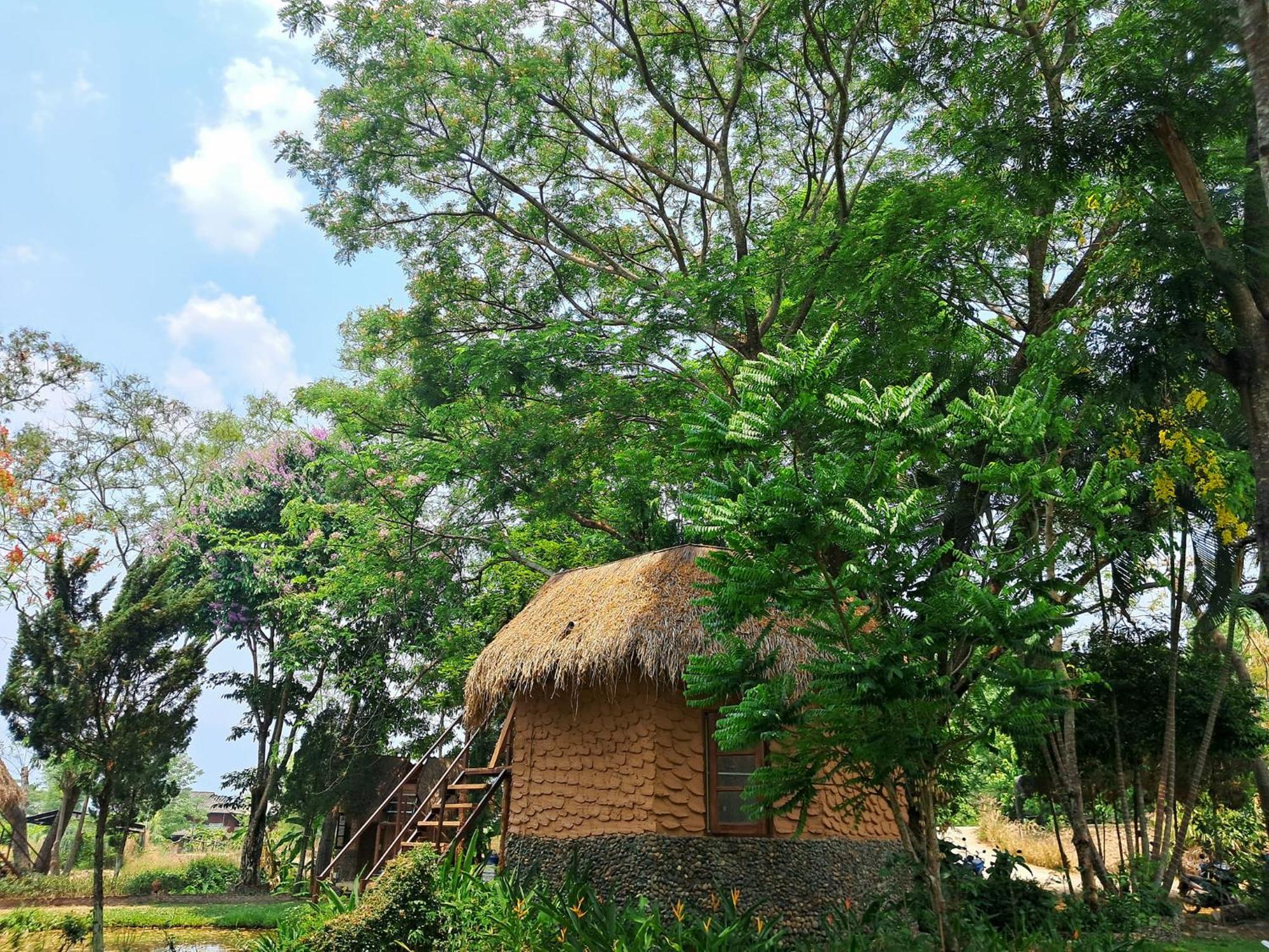 सहारा The Countryside 3*